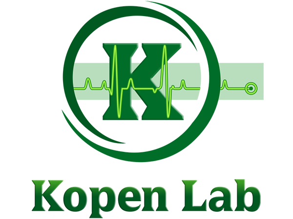 Design de Loja Virtual - Agora  GRTIS - Lojas Virtuais BR