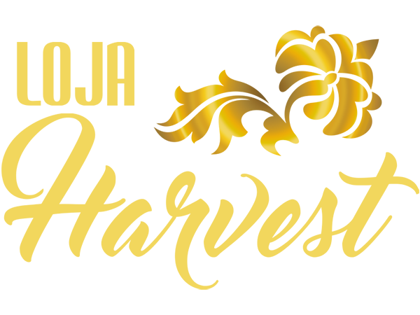 Design de Loja Virtual - Agora  GRTIS - Lojas Virtuais BR