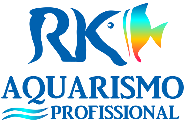 Design de Loja Virtual - Agora  GRTIS - Lojas Virtuais BR