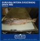 GURIJUBA - INTEIRA EVISCERADA