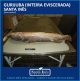 GURIJUBA - INTEIRA EVISCERADA