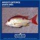 ARIOC - INTEIRO