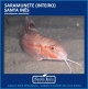 SARAMUNETE - INTEIRO
