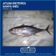 ATUM - INTEIRO EVISCERADO