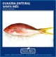 GUAIBA - INTEIRA