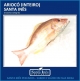 ARIOC - INTEIRO