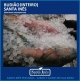BUDIO - INTEIRO