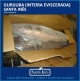 GURIJUBA - INTEIRA EVISCERADA