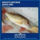 ARIOC - INTEIRO