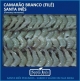 CAMARO FIL 61-70 PS/LB
