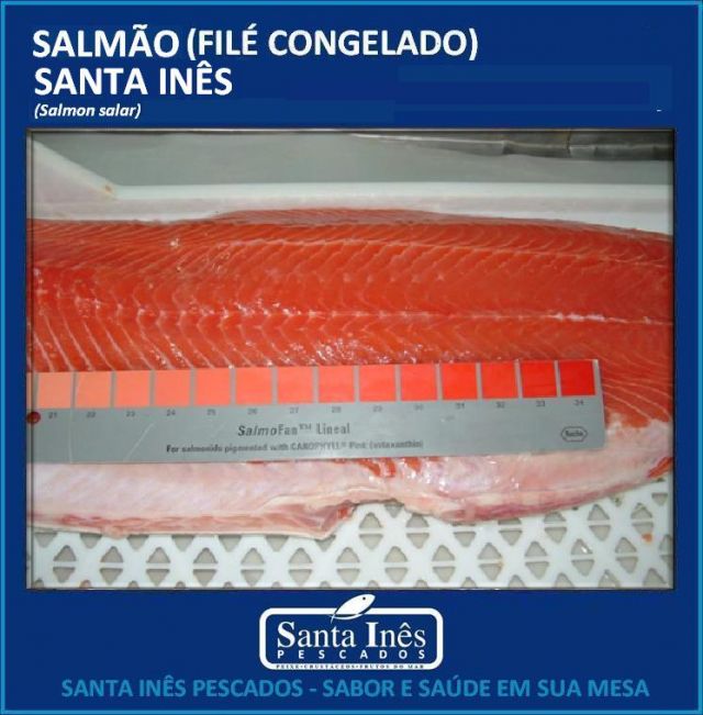 SALMÃO - FILÉ (CAIXA COM 30 KILOS)