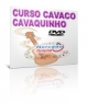 CURSO DE CAVAQUINHO EM DVD