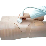 SIMULADOR PARA EXAME ABDOMINAL POR ULTRASSOM
