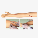 SIMULADOR AVANCADO PARA SUTURA MEMBRO SUPERIOR (Brao)