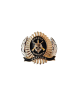 DISTINTIVO DE BOINAS-AGENTE DE SEGURANA-6UN