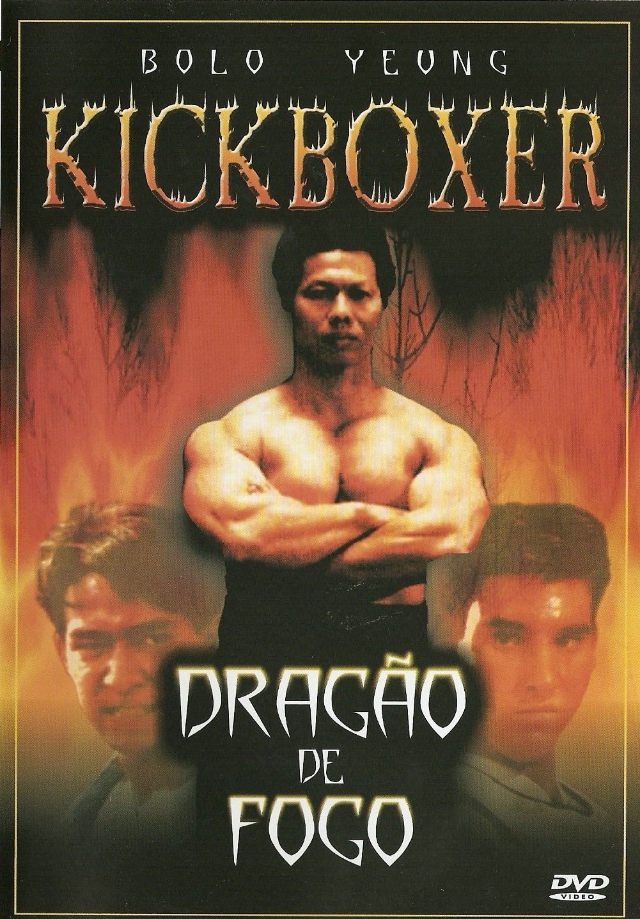 Filme O Grande Mestre Dos Kickboxers