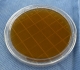 Agar Mitis Salivarius Frasco 500g LCK-3200060