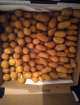 550 Mini Salgadinhos .variados Coxinha, Risoles, Bolinhos de Carne  congelados