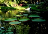 Caixa de Som para Jardim Tronco Woodsound