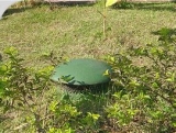 Caixa de Som Jardim Cogumelo 6