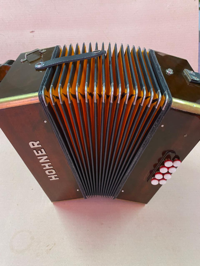 Acordeon 8 baixos