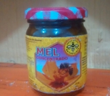 MEL CONCENTRADO P/ ATLETAS, CONVALESCENTES, IDOSOS