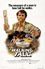 E071-FIBRA DE VALENTE 1 - Walking Tall - 1973