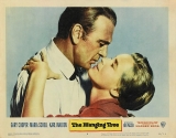 A004-A ÁRVORE DOS ENFORCADOS - The Hanging Tree - 1959 - Gary Cooper-Maria Schell-Karl Malden