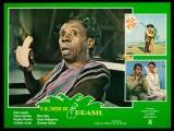 E147-O HOMEM DO PAU-BRASIL - O Homem Do Pau-Brasil - 1982