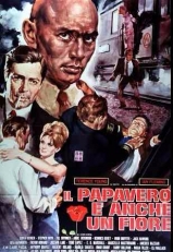 B019-O PIO TAMBM  UMA FLOR - Poppies Are Also Flowers - 1966 - Yul Brynner-Senta Berger-Angie Dickinson