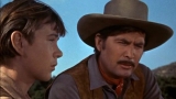 B216-MEU MELHOR COMPANHEIRO - Old Yeller - 1957 - Fess Parker-Dorothy McGuire