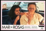 E299-MAR DE ROSAS - Mar de Rosas - 1978