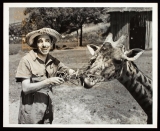 E263-MAZZAROPI, O NOIVO DA GIRAFA -  Mazzaropi, O Noivo Da Girafa - 1958 - Amcio Mazzaropi-Glauce Rocha-Roberto Duval