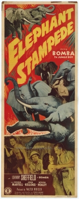 D085-BOMBA, VINGANA DOS ELEFANTES - Elephant Stampede - 1951 - Johnny Sheffield-Donna Martell