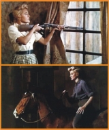 A194-CINCO REVLVERES MERCENRIOS - Five Guns West - 1955 - Dorothy Malone-John Lund-Mike Connors