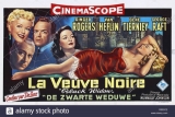 G163-A VIVA NEGRA - Black Widow - 1954 - Ginger Rogers-Van Heflin-Gene Tierney