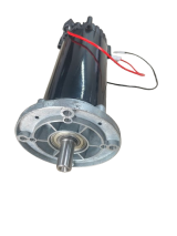 Motoredutor Motor CC