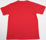 CAMISA RETR INGLATERRA 1966 - UNIFORME 2
