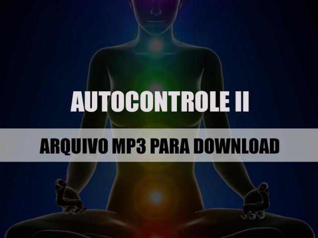 Autocontrole II mp3