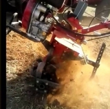 Motocultivador Diesel 10 Hp Arador Aceita Roadeira Carreta Tracionada e Simples Roda de Capina