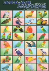 Atlas Agapornis