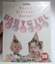 Faixa/ Varal Decorativo Baby Girl (3 metros) + 6 Bales de ltex estampados Its a Girl