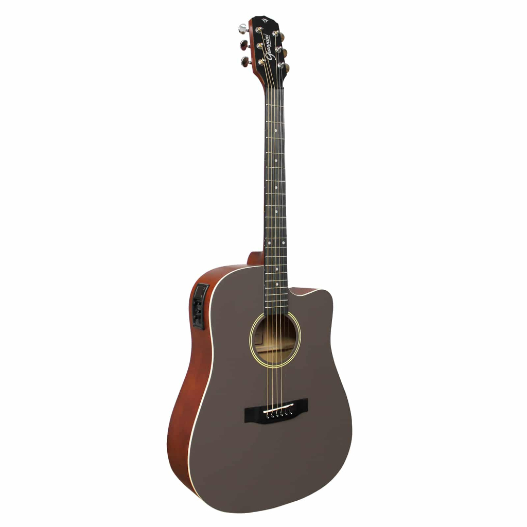 Viol�o A�o Eletroac�stico Giannini Performance GDC-1 CEQ Color Top Java (CTJ)