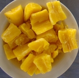 MUDAS DE MANDIOCA