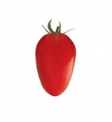 SEMENTES DE TOMATE LONGA VIDA