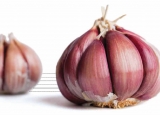 SEMENTES DE ALHO CAIPIRA ROXO