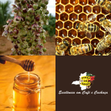 MEL FLORES DE AROEIRA