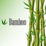 ESSENCIA BAMBOO 100 ML   ES6185