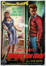 VIDAS AMARGAS (1955) (James Dean,Raymond Massey) (LEG)