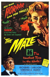 O TERROR DA TORRE (O Labirinto) (1953) (Richard Carlson,Veronica Hurst,Katherine Emery) (LEG)